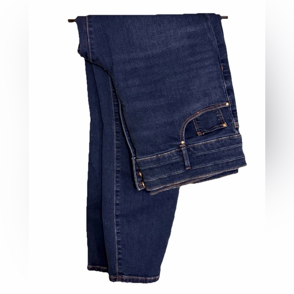Women’s Ann Taylor High Rise Skinny Blue Jeans, Size 16